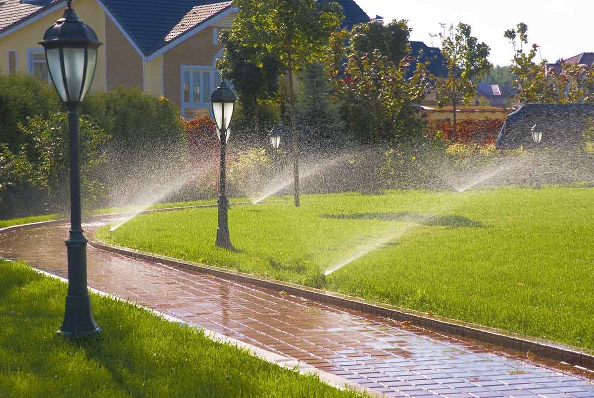 Irrigation System Installation in Walker example 1