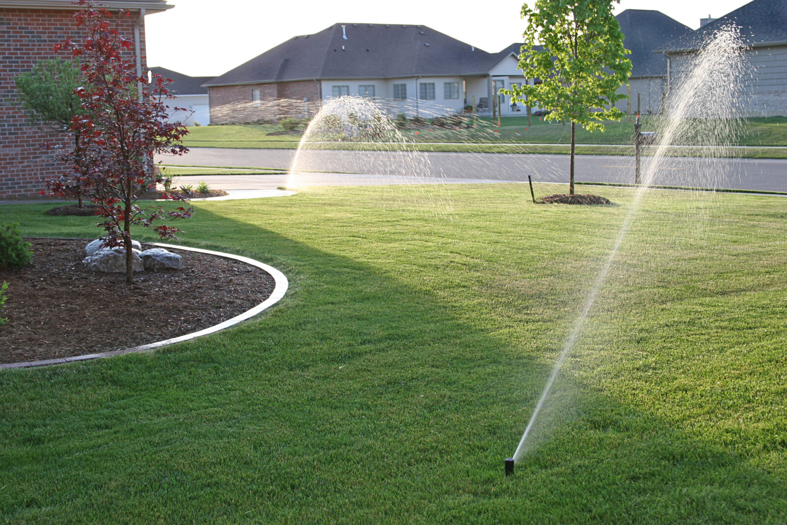 Irrigation System Installation in Walker example 3