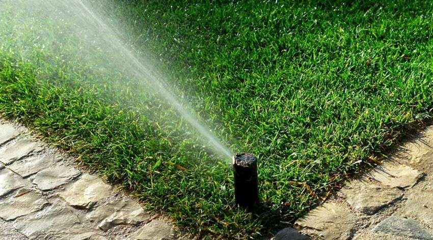 Irrigation System Installation in Walker example 4