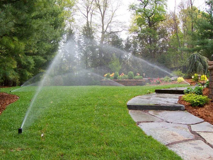 Irrigation System Installation in Walker example 5