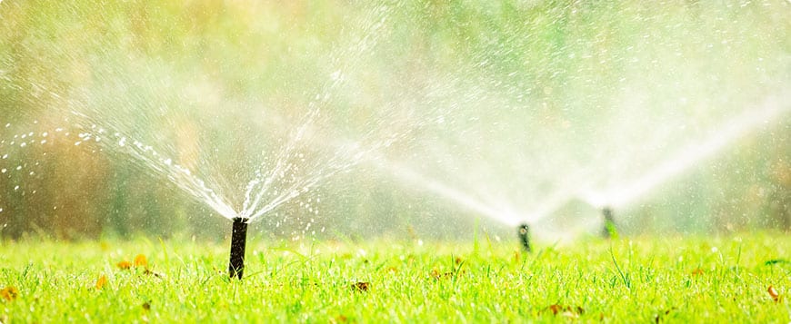 Irrigation System Installation in Walker example 6
