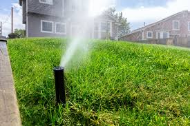 Irrigation System Installation in Walker example 7