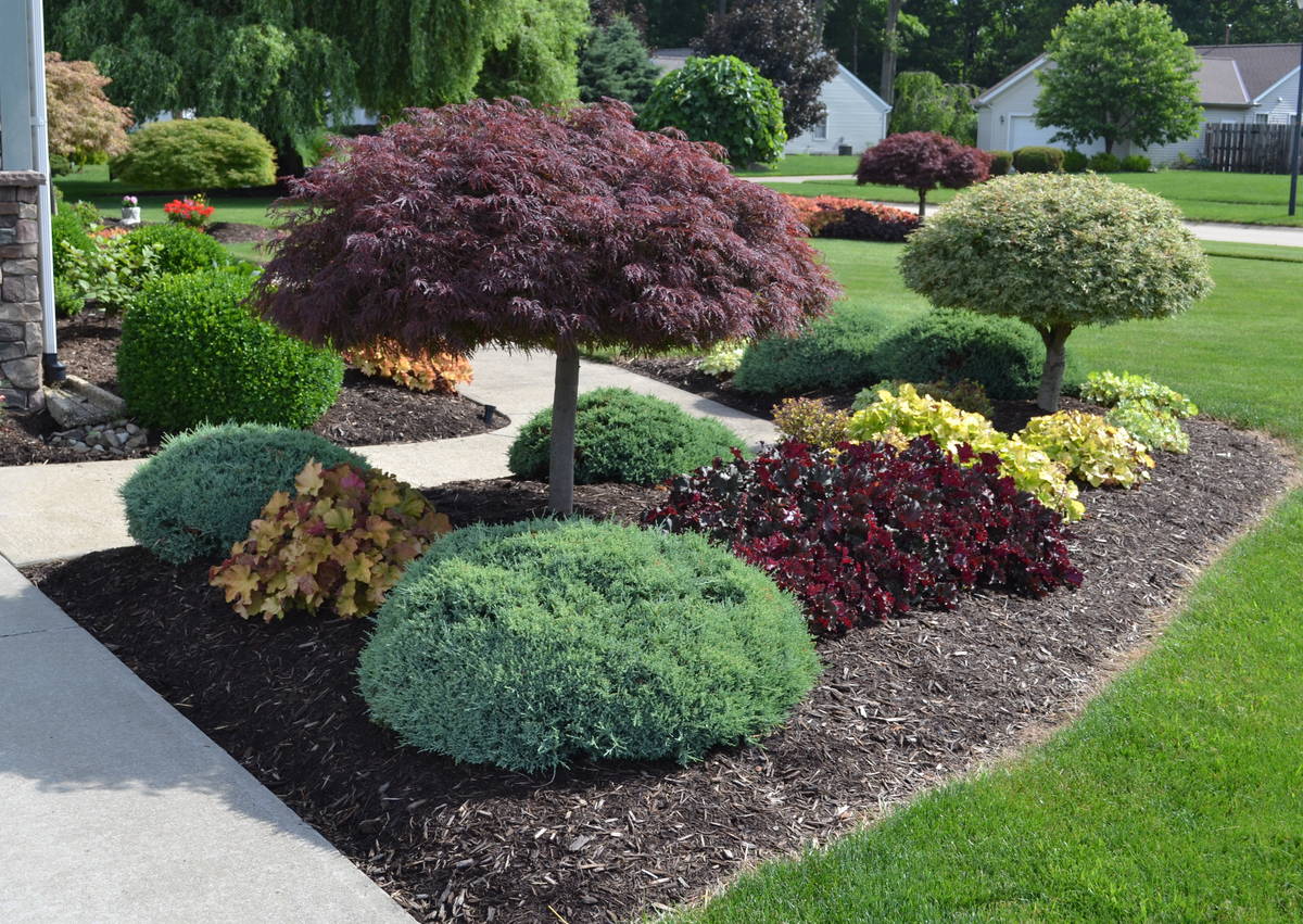 Landscape Design in Walker example 7