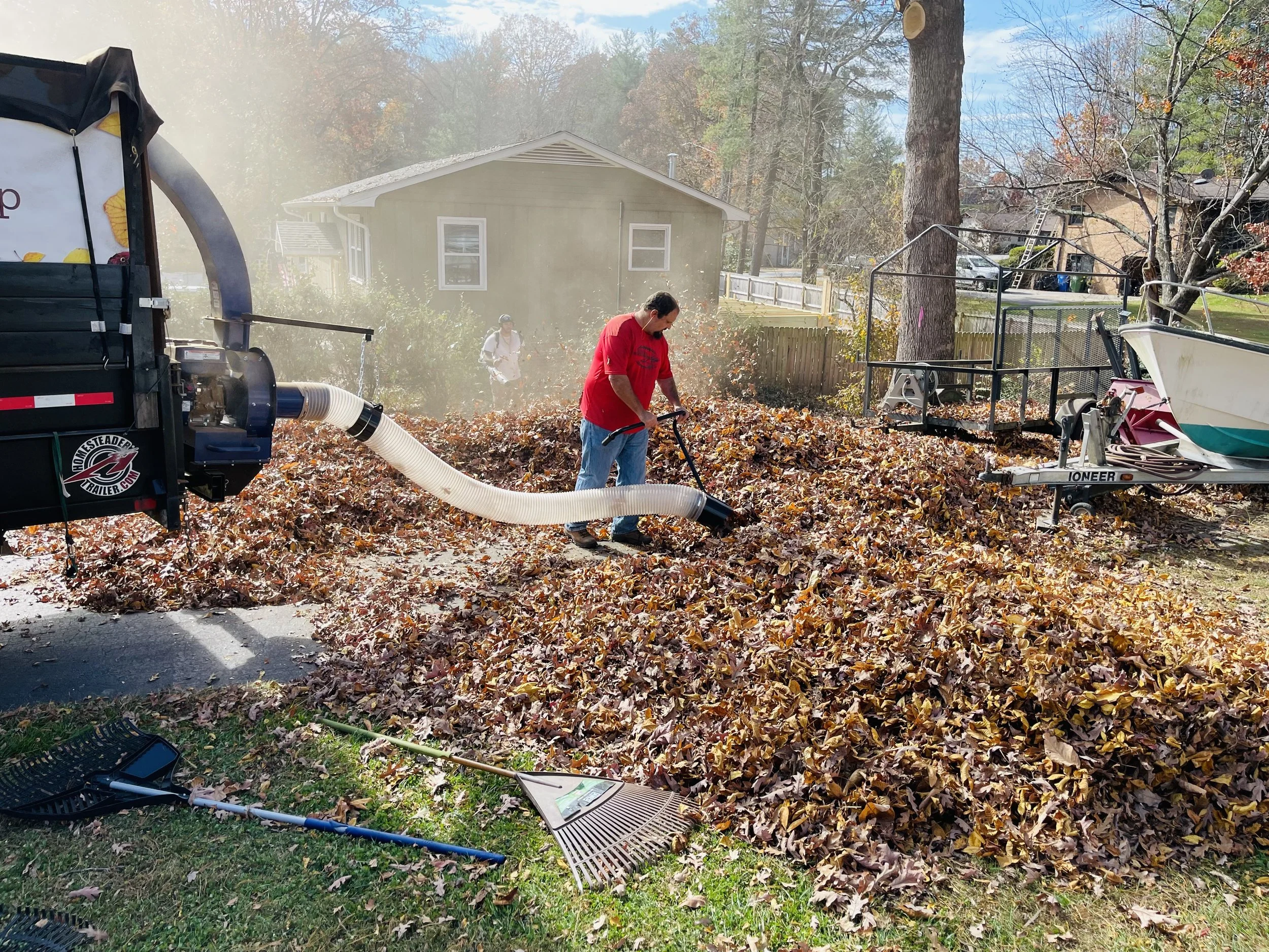 Leaf Removal in Walker example 1