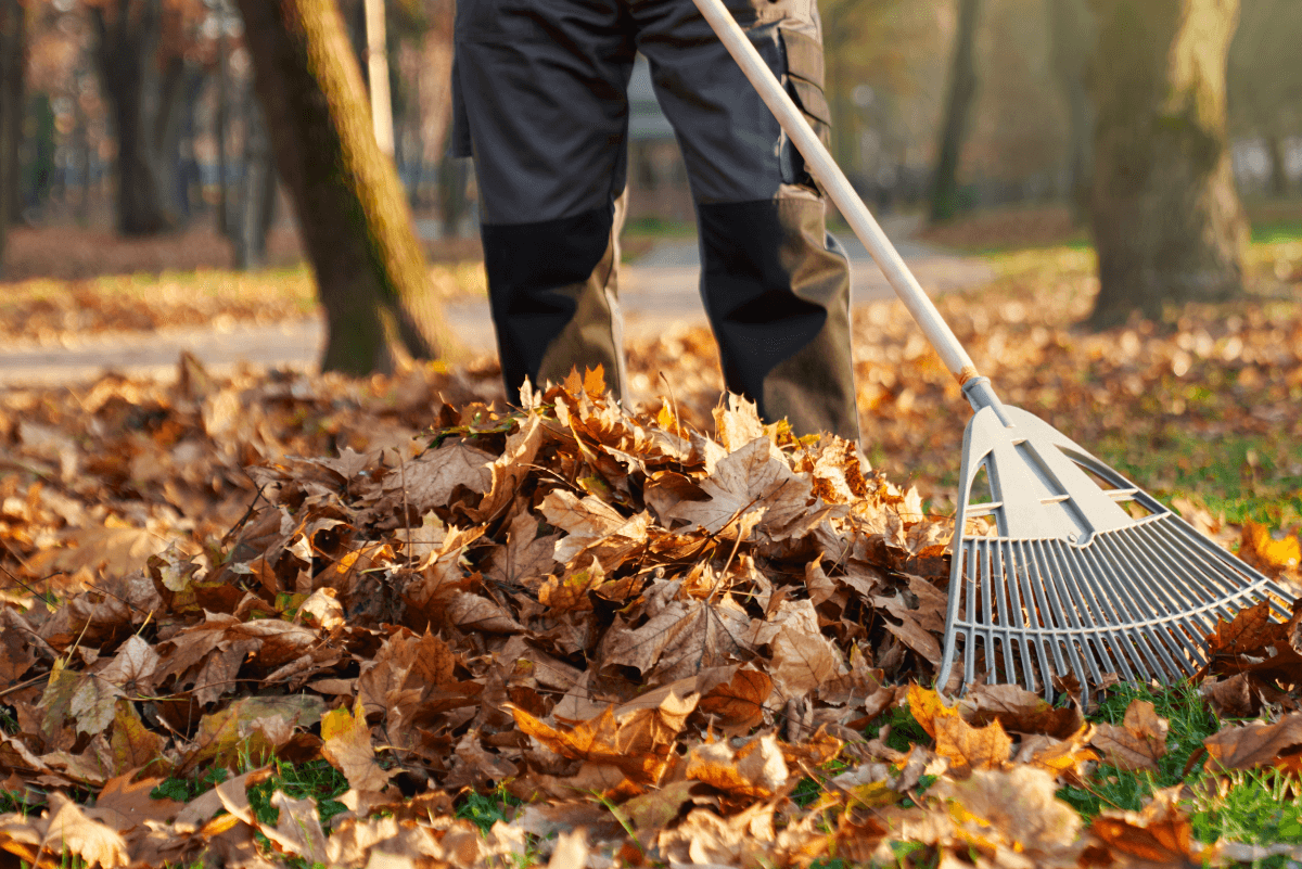 Leaf Removal in Walker example 3