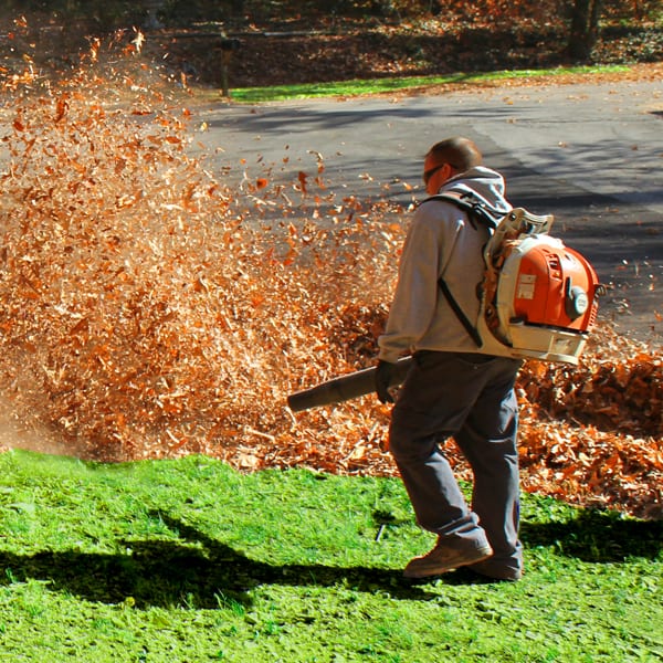 Leaf Removal in Walker example 4