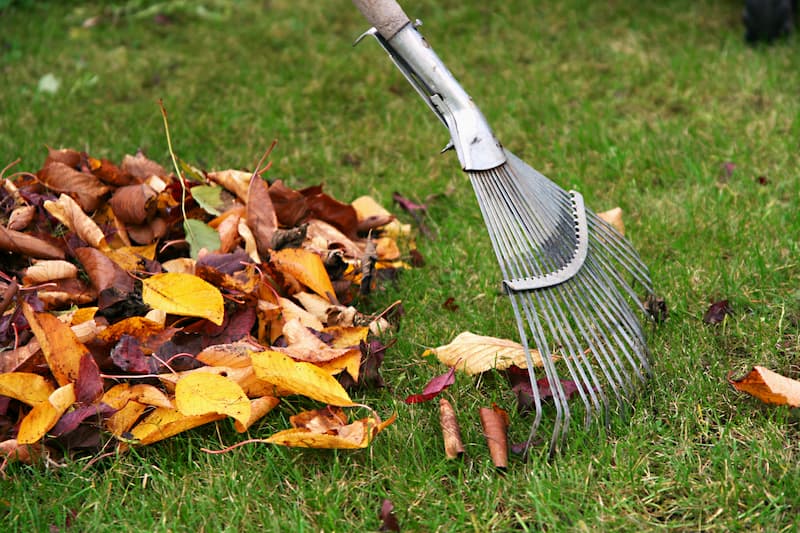Leaf Removal in Walker example 5