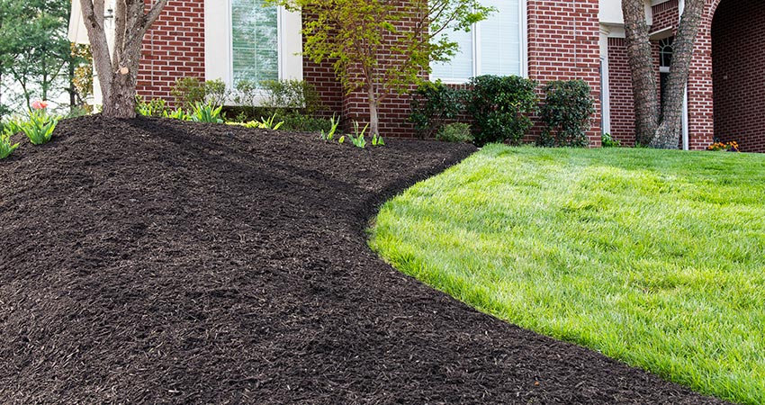 Mulch Installation in Walker example 2