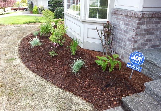 Mulch Installation in Walker example 3