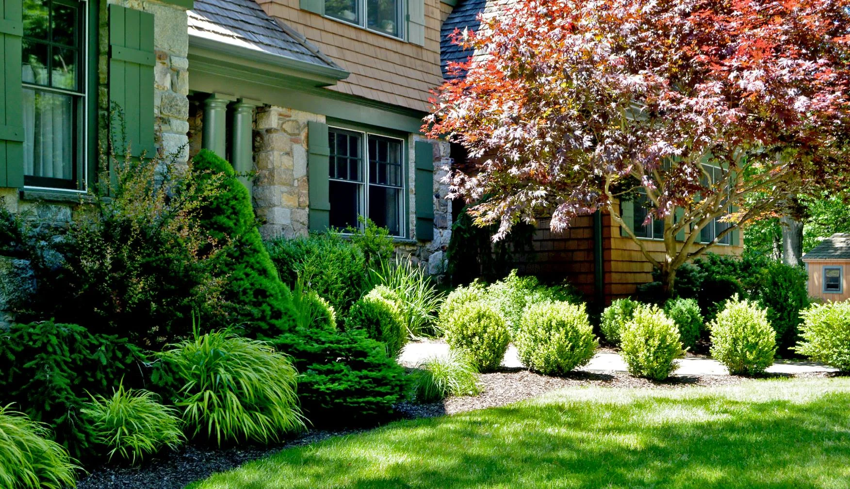Tree & Shrub Planting in Walker example 1