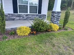 Tree & Shrub Planting in Walker example 5