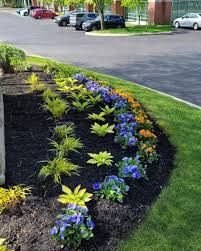 Tree & Shrub Planting in Walker example 7