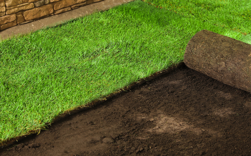 Sod Installation in Walker example 1