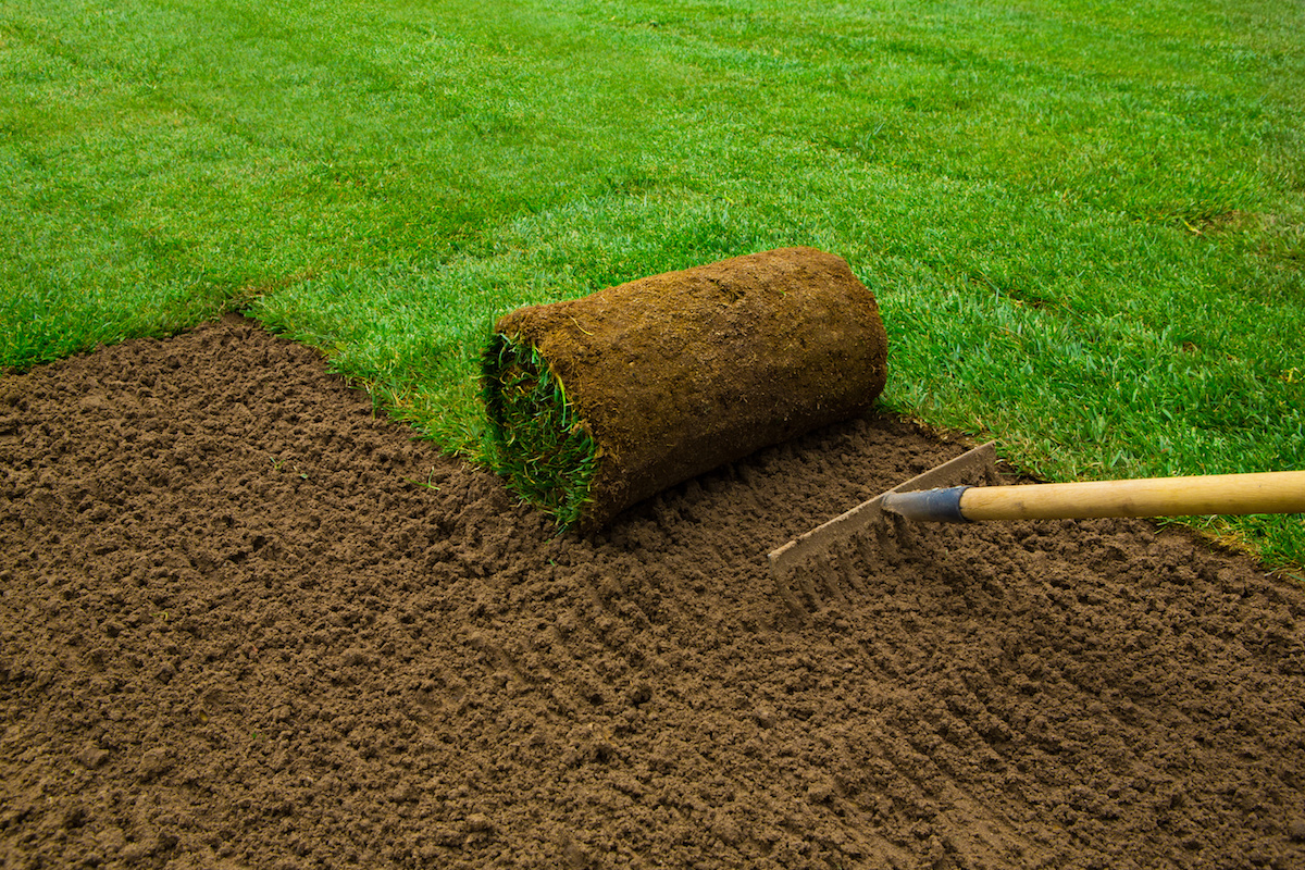 Sod Installation in Walker example 3