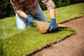 Sod Installation in Walker example 4