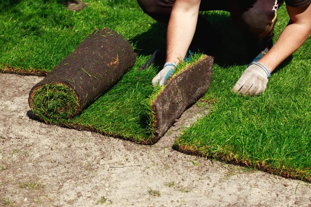 Sod Installation in Walker example 5