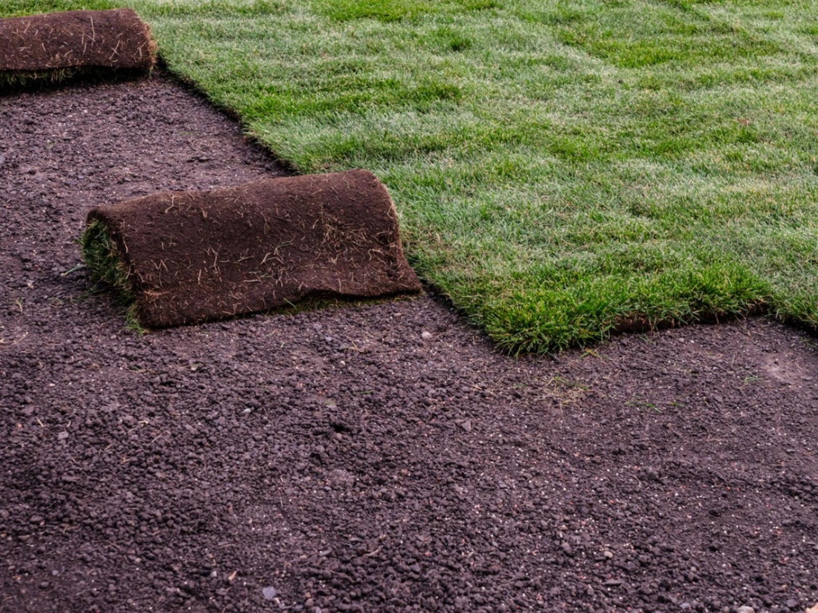 Sod Installation in Walker example 6